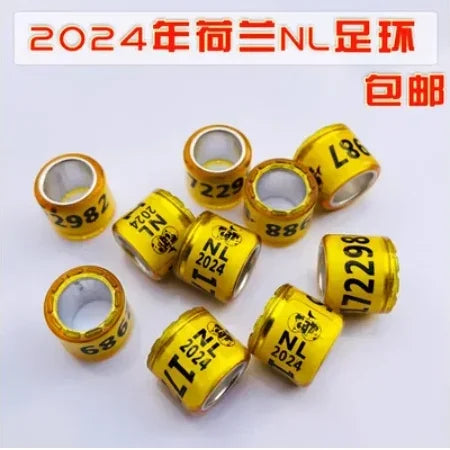 S8198bcdbca2c4f8ebbdd9b6c0a975de6e